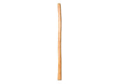 Natural Finish Didgeridoo (TW1343)
